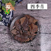 中药材批发 四季青  安徽 1000克/500克 商品缩略图0