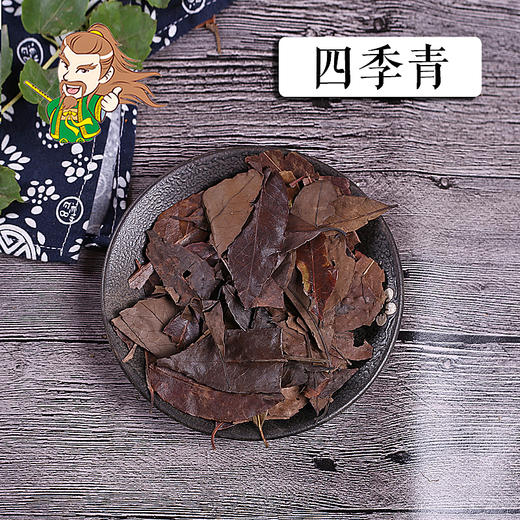 中药材批发 四季青  安徽 1000克/500克 商品图0