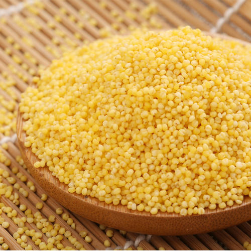 内蒙古高原蒙田有机小米套组货号122933