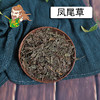 中药材批发 凤尾草 湖北1000克/500克 商品缩略图0