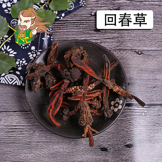 中药材批发 回春草 云南1000克/500克 商品图0