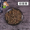 中药材批发 积雪草贵州 1000克/500克 商品缩略图0