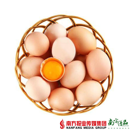 【营养美味】华农尚大 土鸡蛋  8个 商品图0