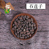 中药材批发 石莲子  山东 1000克/500克 商品缩略图0