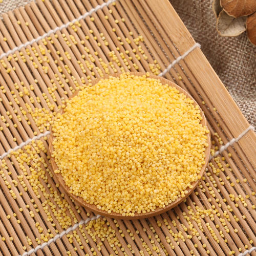 内蒙古高原蒙田有机小米套组 货号122933