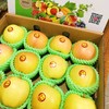 日本进口，青森水蜜桃苹果，堪称苹果届的NO1，脆甜多汁，打开箱子的瞬间浓郁的香气扑面而来，让人醉！ 商品缩略图5