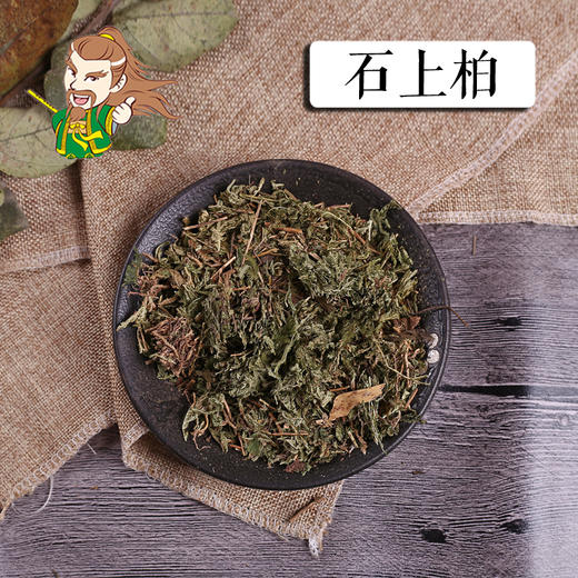 中药材批发 石上柏  云南 1000克/500克 商品图0