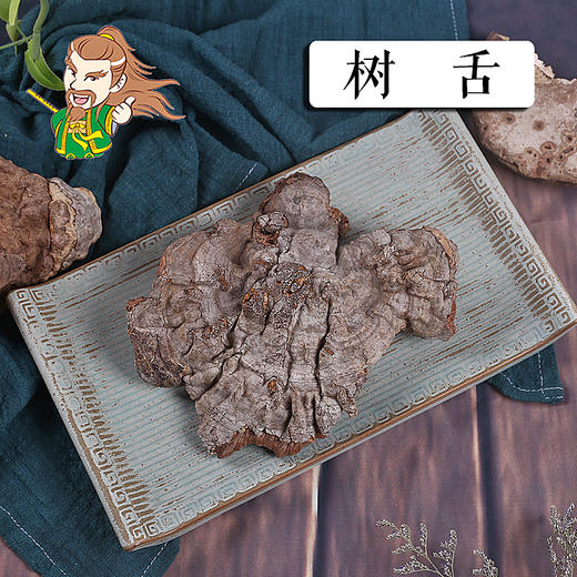 中药材批发 树舌 1000克/500克 商品图0