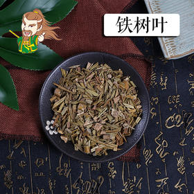 中药材批发 铁树叶广东 1000克/500克