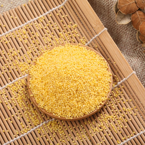 内蒙古高原蒙田有机小米套组货号122933