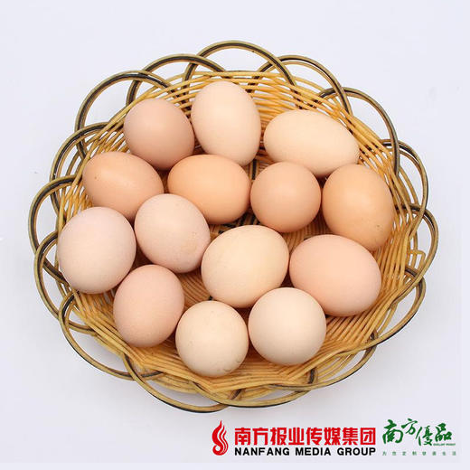 【营养美味】华农尚大 土鸡蛋  8个 商品图2