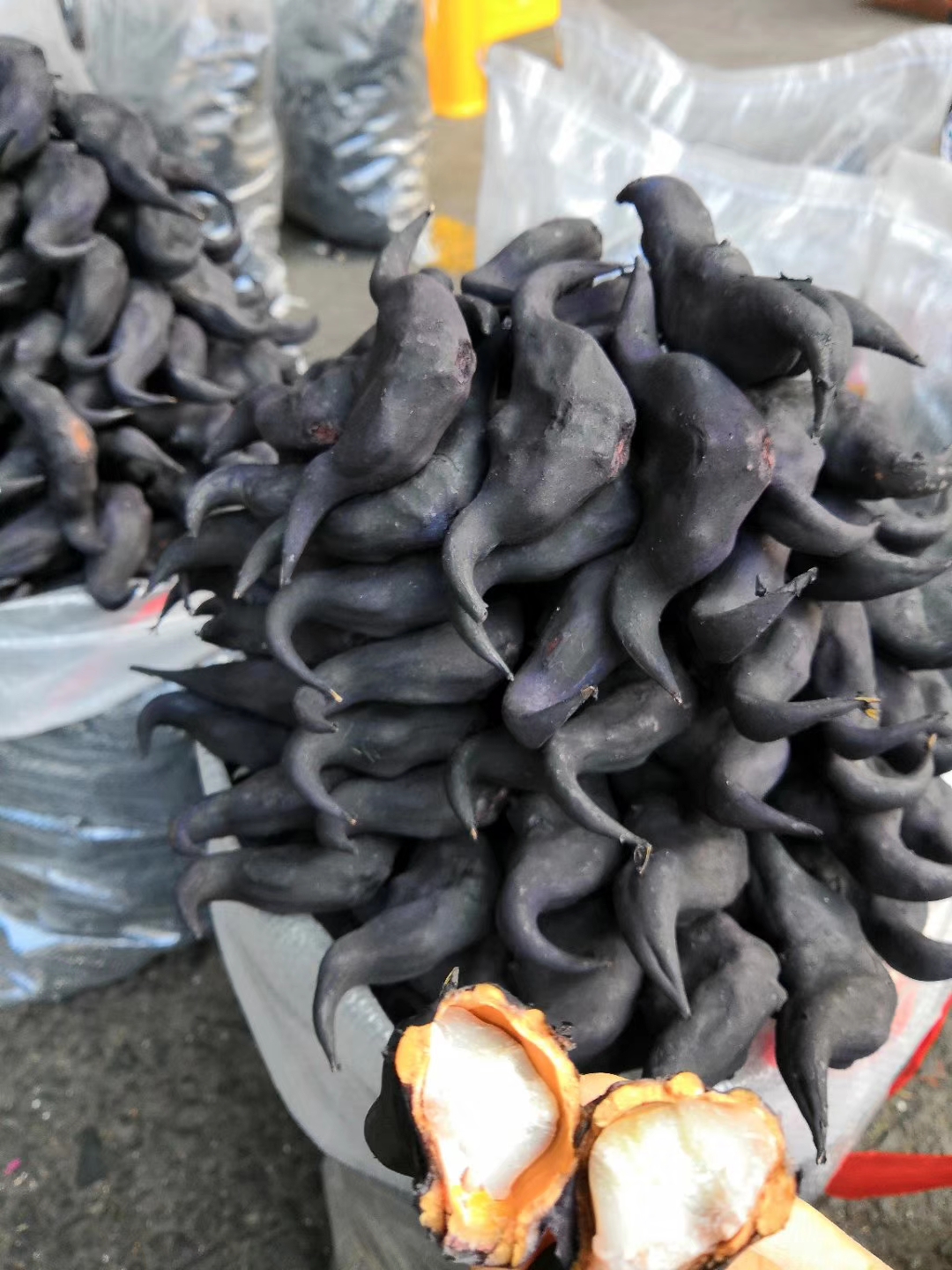 记忆中的老菱角菱角真的要吃老的才好吃5斤装