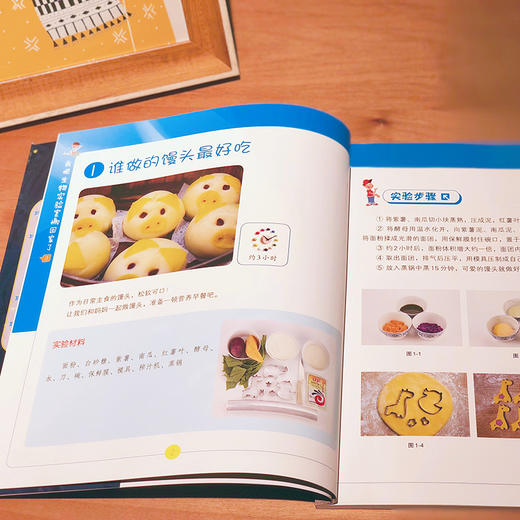 我把生物实验室搬回家了 商品图5