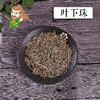 中药材 叶下珠 珍珠草 广东 1000克/500克 商品缩略图0