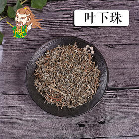 中药材 叶下珠 珍珠草 广东 1000克/500克