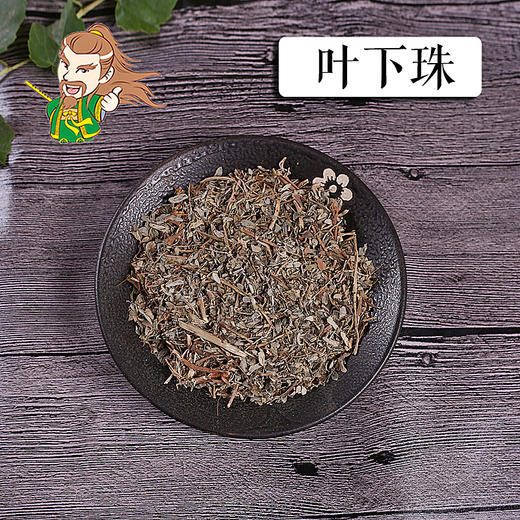 中药材 叶下珠 珍珠草 广东 1000克/500克 商品图0