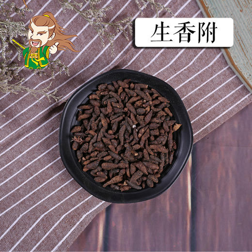 中药材批发 生香附 广东 1000克/500克 商品图0