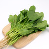 菠菜 500g 商品缩略图0