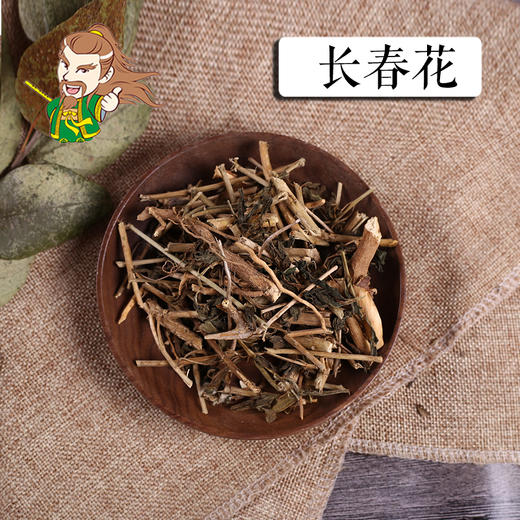 中药材 长春花 广西 1000克/500克 商品图0