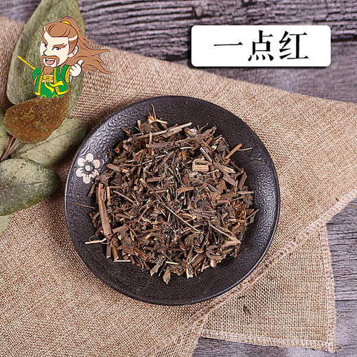 中药材 一点红 广西 1000克/500克 商品图0