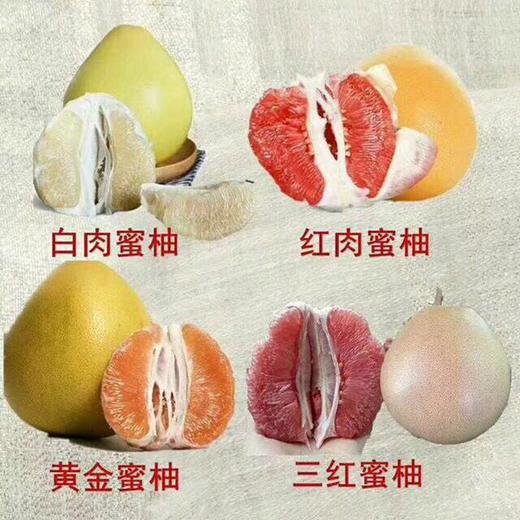 【四大名柚】福建平和琯溪蜜柚 红柚 白柚 黄金柚 三红柚礼盒 皮薄