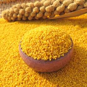 🌾 陕北米脂黄小米 · 油小米 · 不抛光 · 不打蜡（500g*5块米砖）