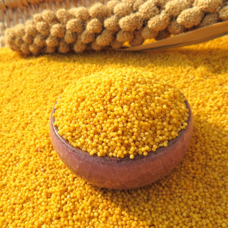 2020新陕北米脂黄小米油小米(5斤装)