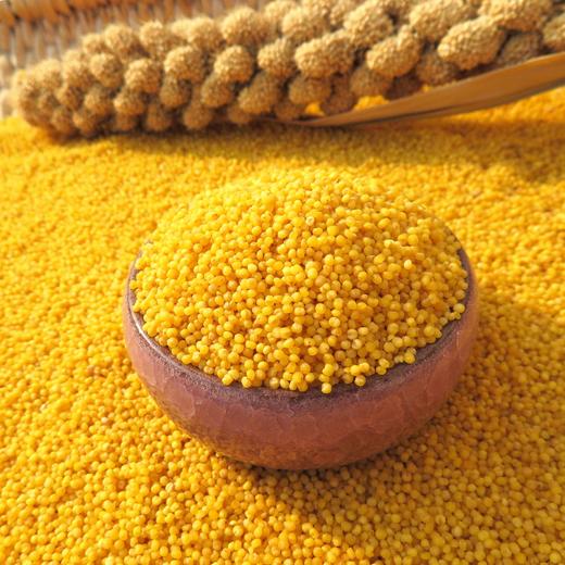 🌾 陕北米脂黄小米 · 油小米 · 不抛光 · 不打蜡（500g*5块米砖） 商品图0