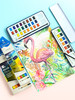 Marco马可 初学者成人绘画固定水彩颜料4900 12色 商品缩略图4