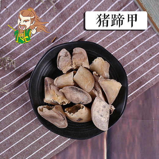 中药材 猪蹄甲 河北 1000克/500克 商品图0