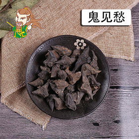 中药材批发 鬼见愁 山东1000克/500克
