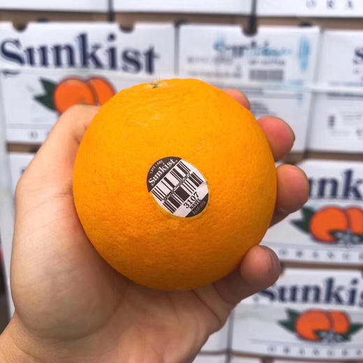 新奇士3107甜橙 很好吃的橙子。 商品图8