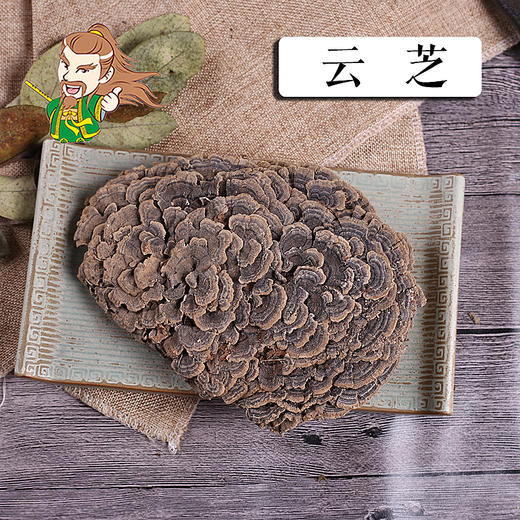 中药材 云芝 东北 1000克/500克 商品图0