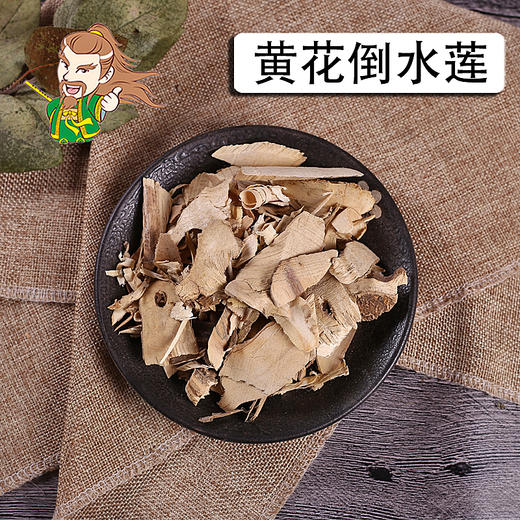 中药材批发 黄花倒水莲 观音串 1000克/500克 商品图0