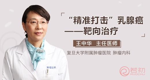 王中华教授：“精准打击”乳腺癌——靶向治疗 商品图0