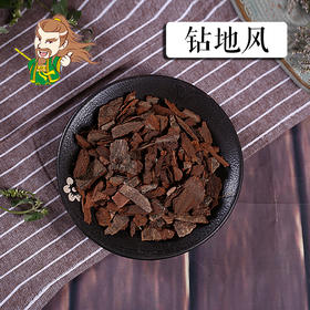 中药材 钻地枫 云南 1000克/500克