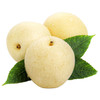 皇冠梨子 商品缩略图4