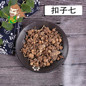 中药材批发 珠儿参 扣子七 1000克/500克/250克