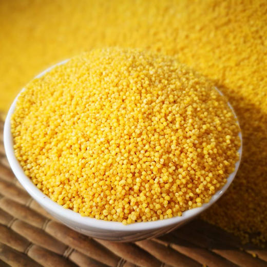 🌾 陕北米脂黄小米 · 油小米 · 不抛光 · 不打蜡（500g*5块米砖） 商品图1