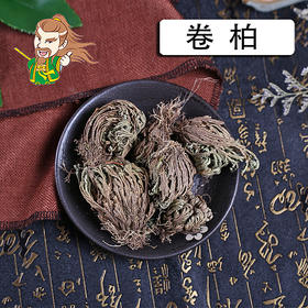 中药材批发 卷柏个 山东 1000克/500克