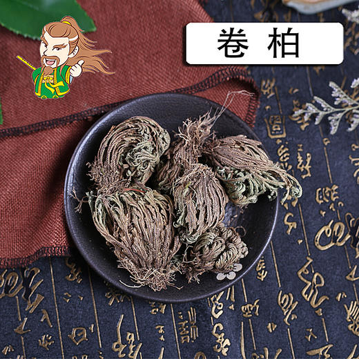 中药材批发 卷柏个 山东 1000克/500克 商品图0