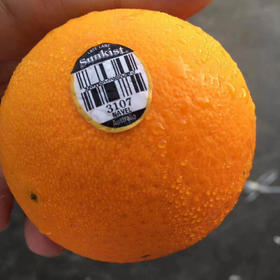 新奇士3107甜橙 很好吃的橙子。