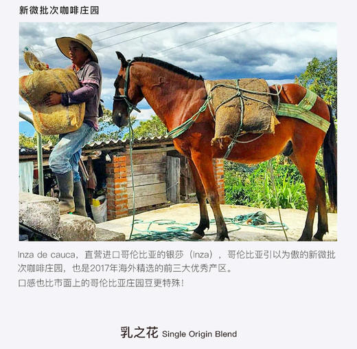 测试测试测试 商品图0