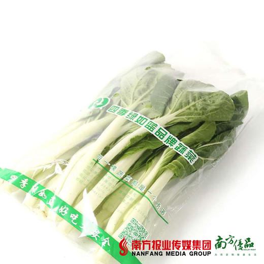 【18号提货】四季绿 小白菜  约300g/份 商品图4