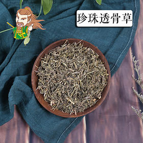 中药材 珍珠透骨草 1000克/500克