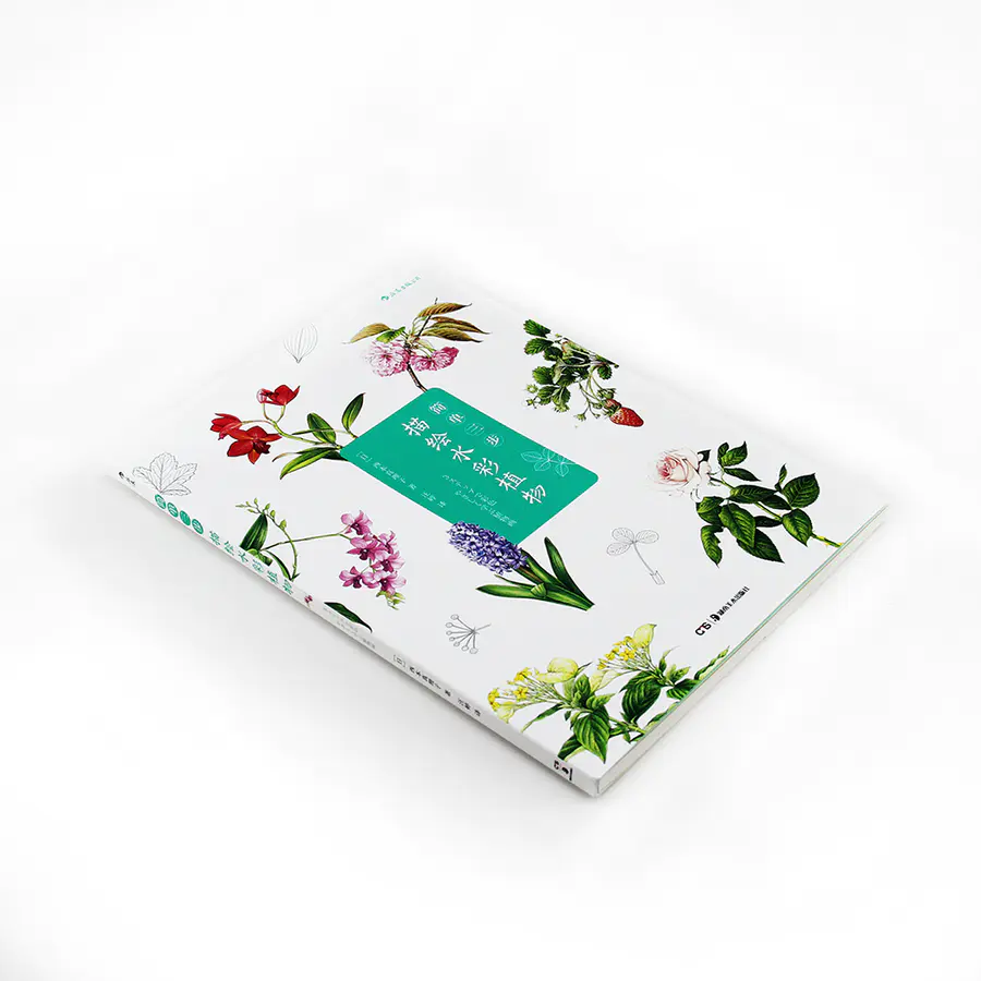 简单三步描绘水彩植物 外形各异的花卉都能简单三步轻松上手给颜色编码 零基础也能画出美丽色彩