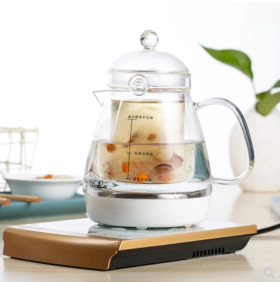 养生壶水煮壶全自动燕窝壶炖盅燕窝机炖盅