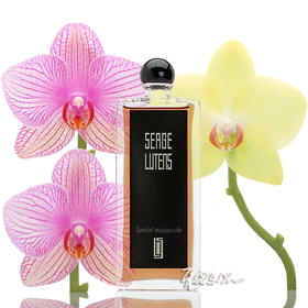 芦丹氏 大写檀香香水SERGE LUTENS Santal Majuscule 小样/正装