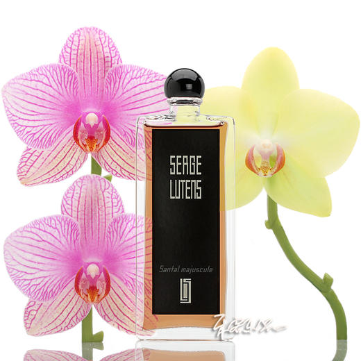 芦丹氏 大写檀香香水SERGE LUTENS Santal Majuscule 小样/正装 商品图0