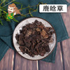 中药材批发 鹿衔草 鹿晗草东北 1000克/500克 商品缩略图0